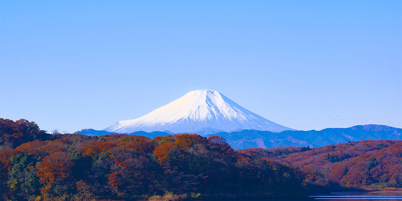 本栖湖から見た富士山